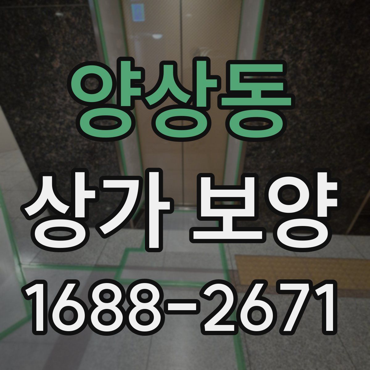 양상동 상가 보양