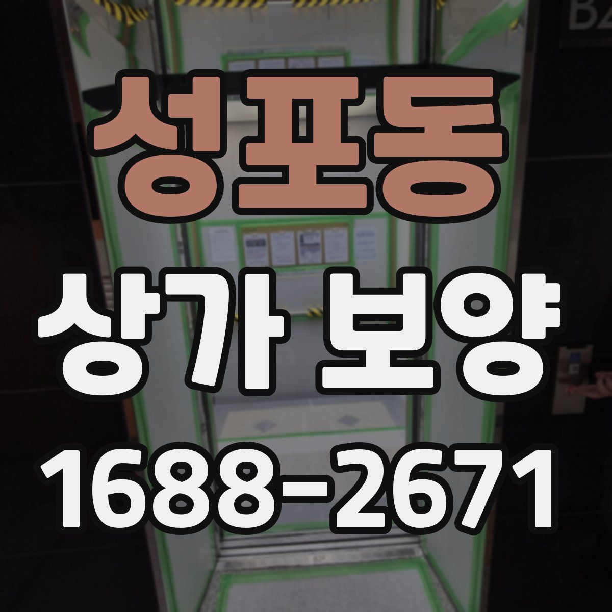 성포동 상가 보양