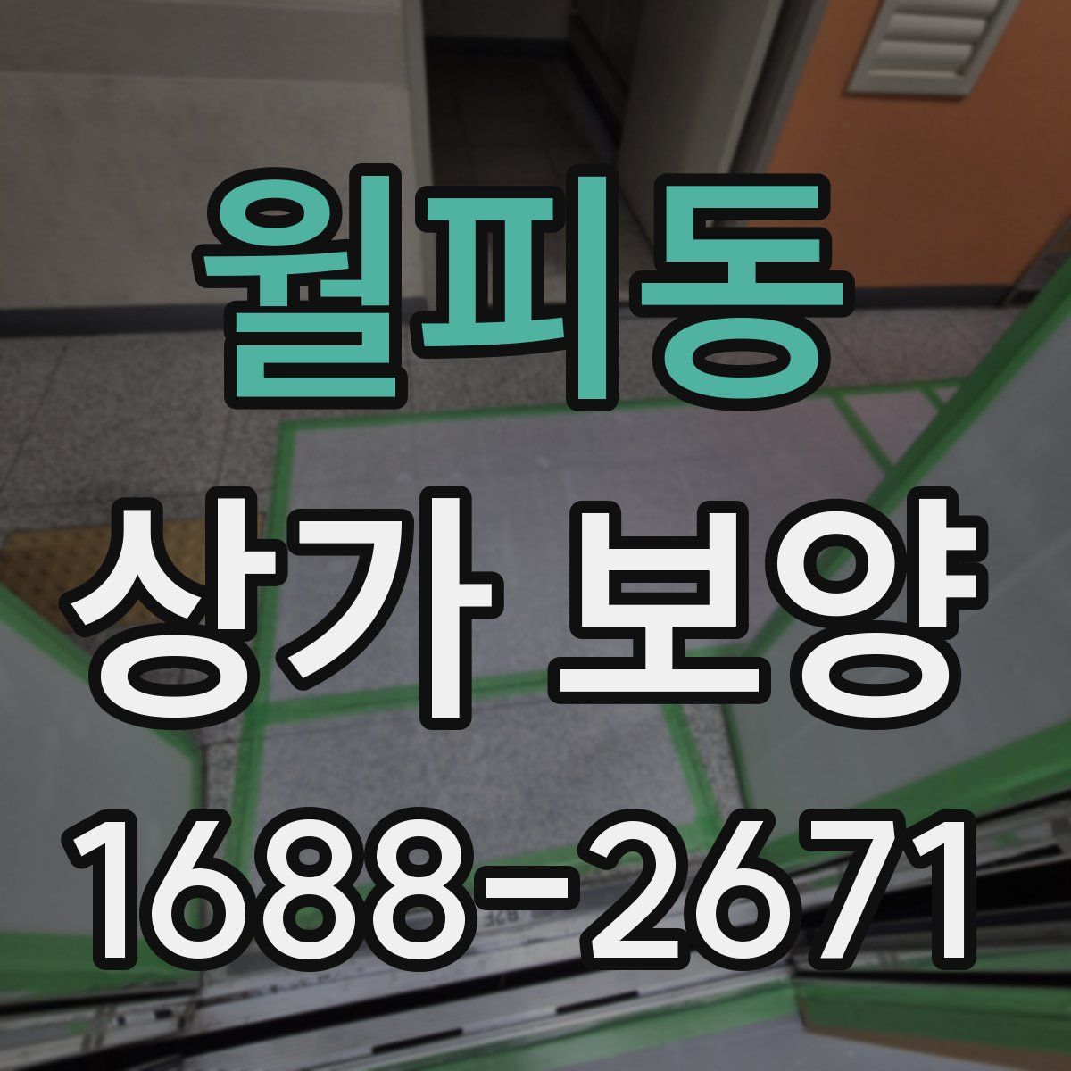 월피동 상가 보양