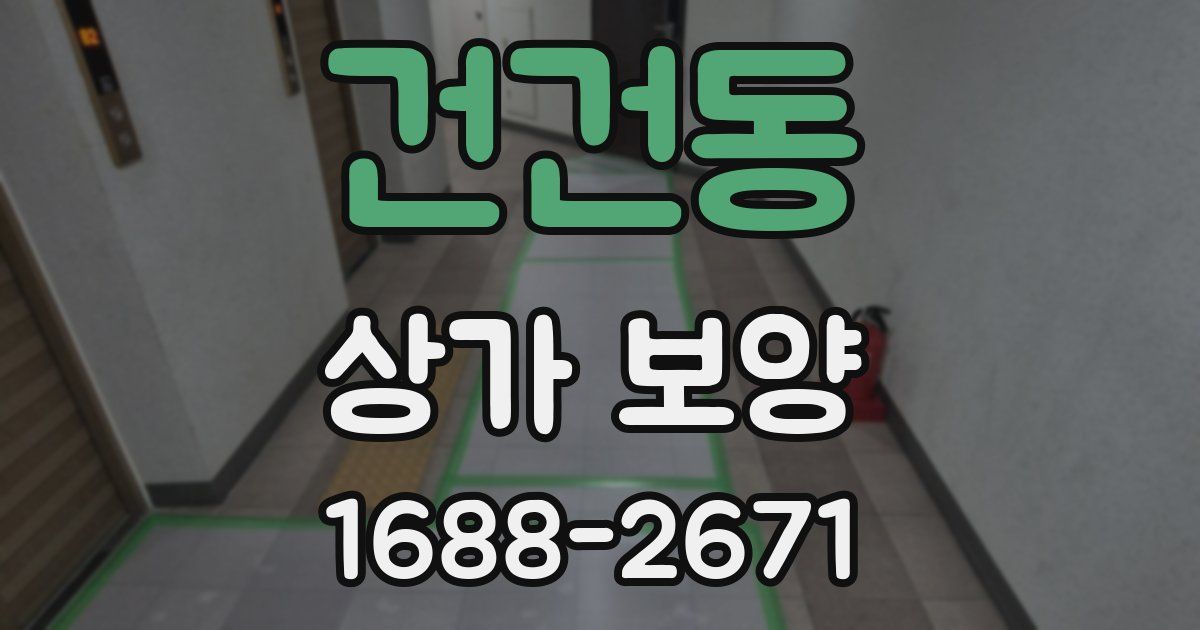 건건동 상가 보양
