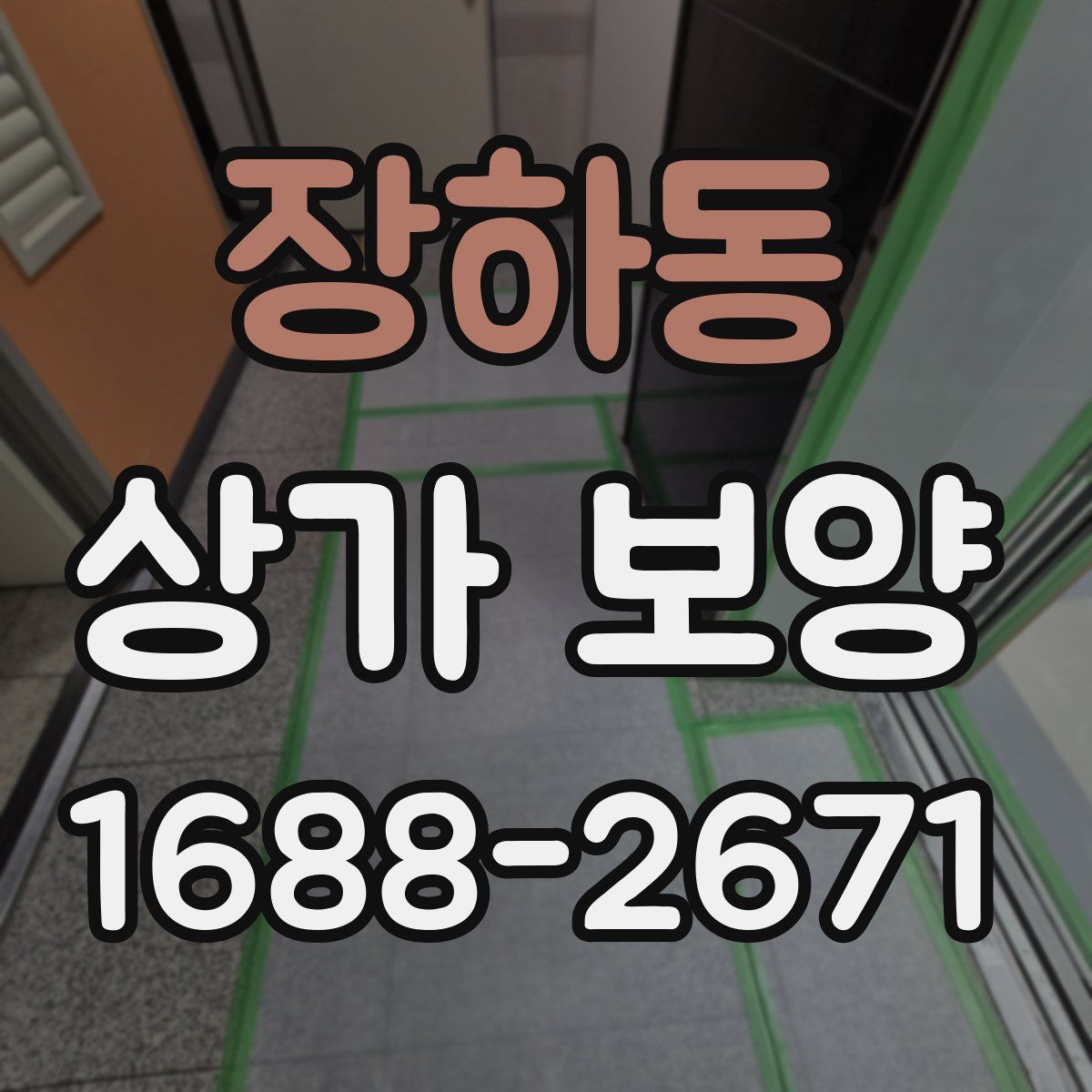 장하동 상가 보양
