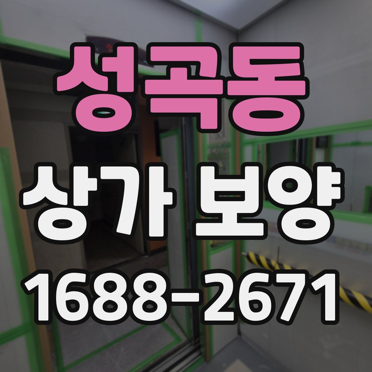 성곡동 상가 보양