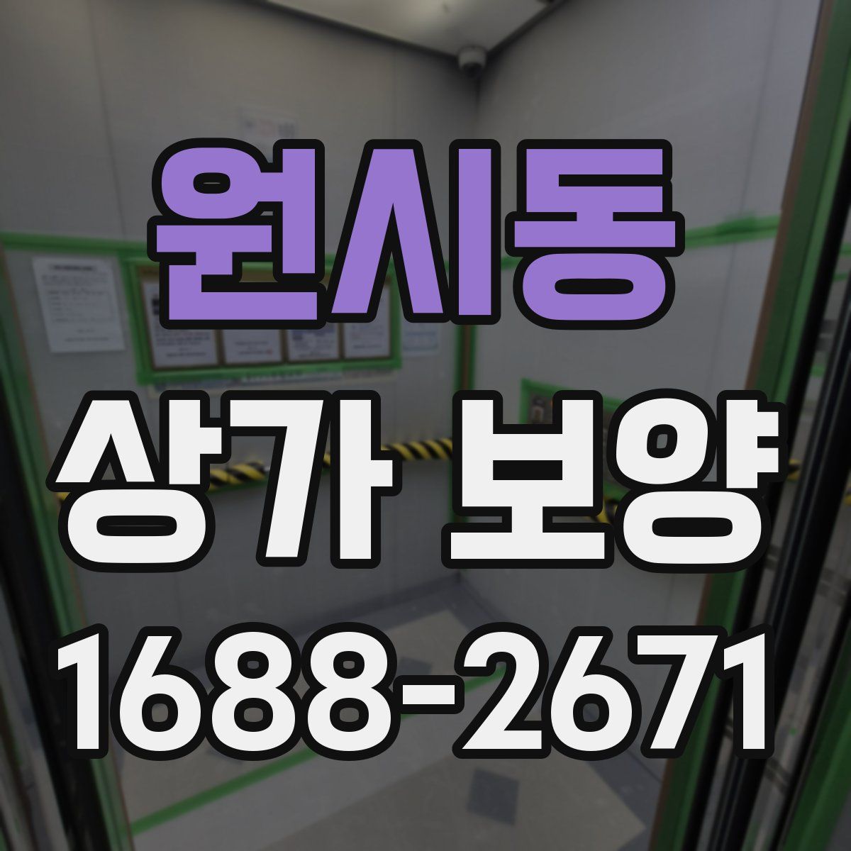 원시동 상가 보양