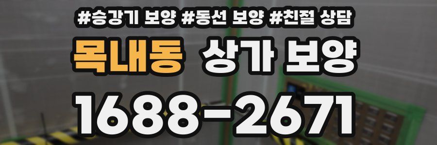 목내동 상가 보양