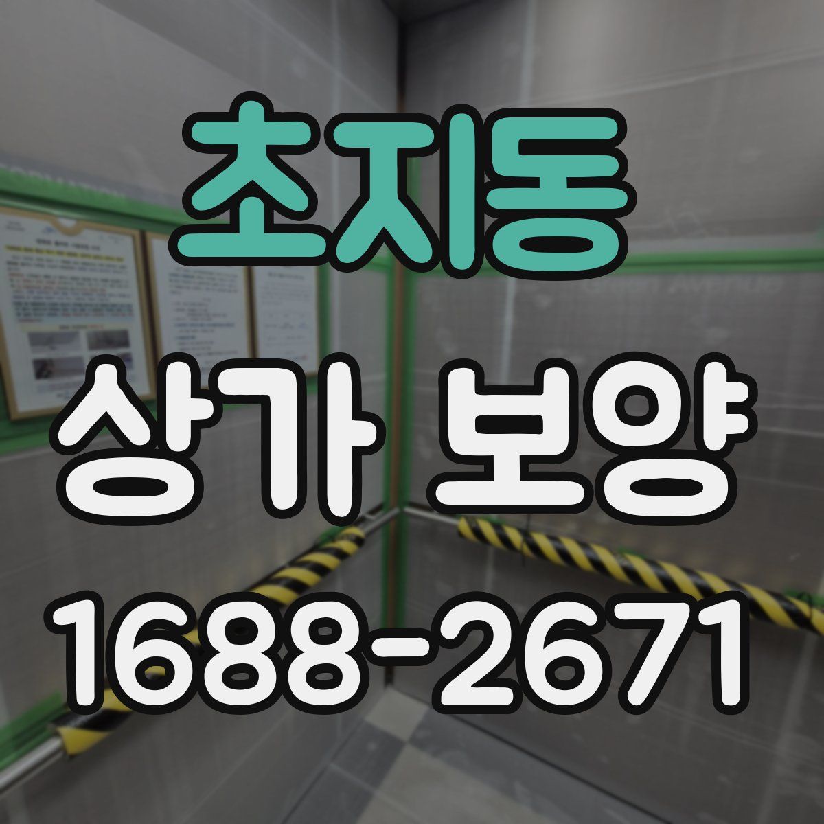 초지동 상가 보양