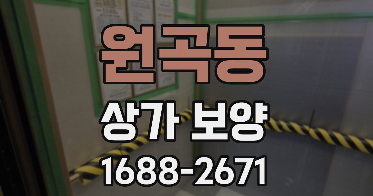 원곡동 상가 보양