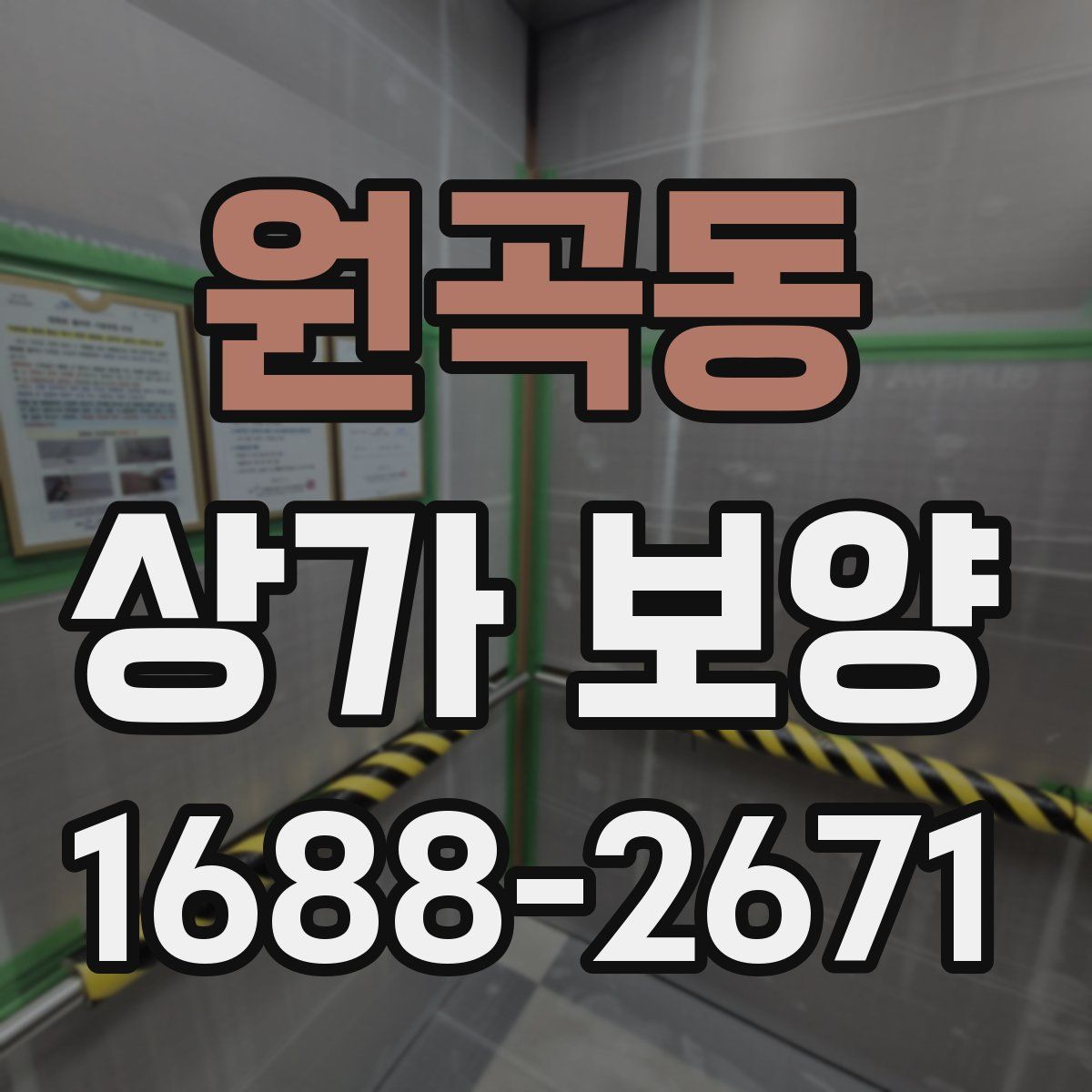 원곡동 상가 보양