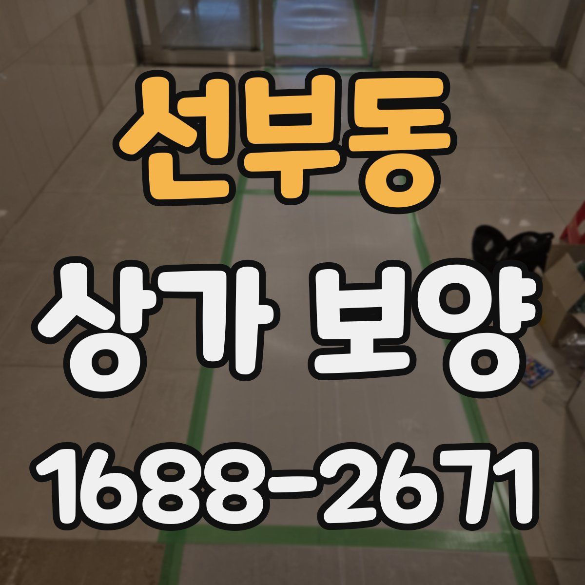 선부동 상가 보양