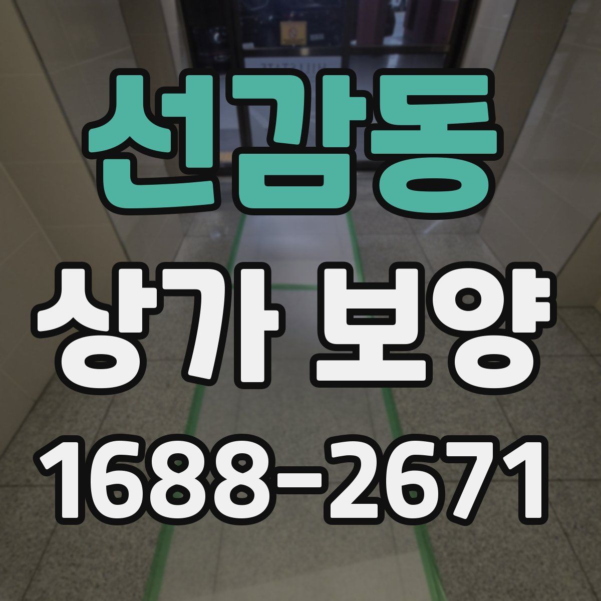 선감동 상가 보양