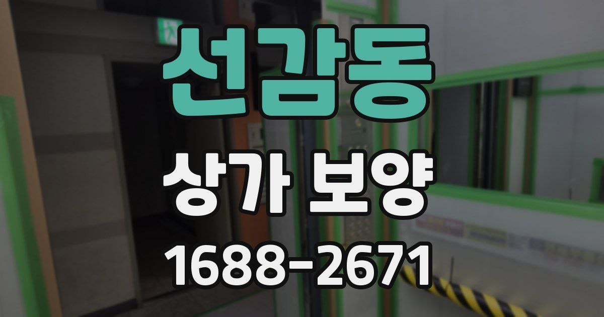 선감동 상가 보양