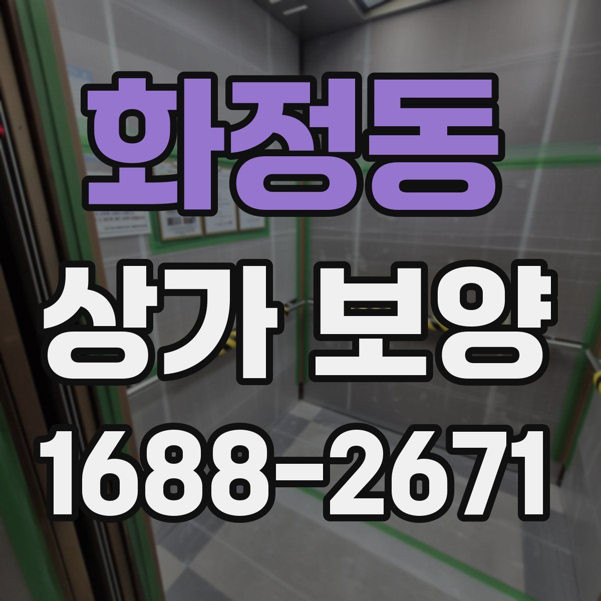 화정동 상가 보양
