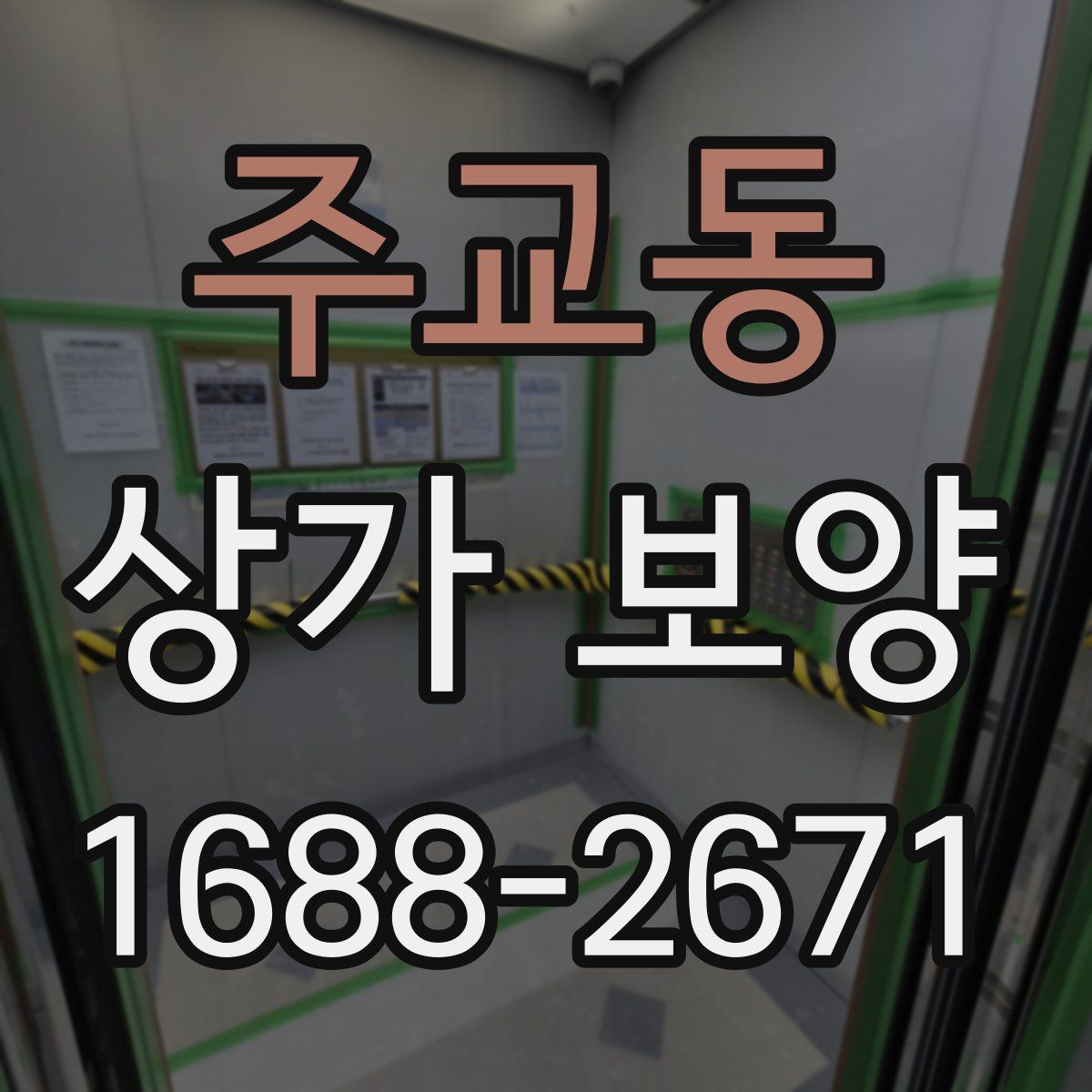 주교동 상가 보양