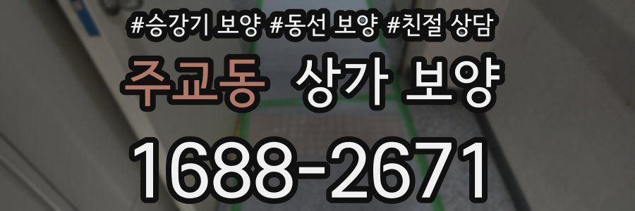 주교동 상가 보양