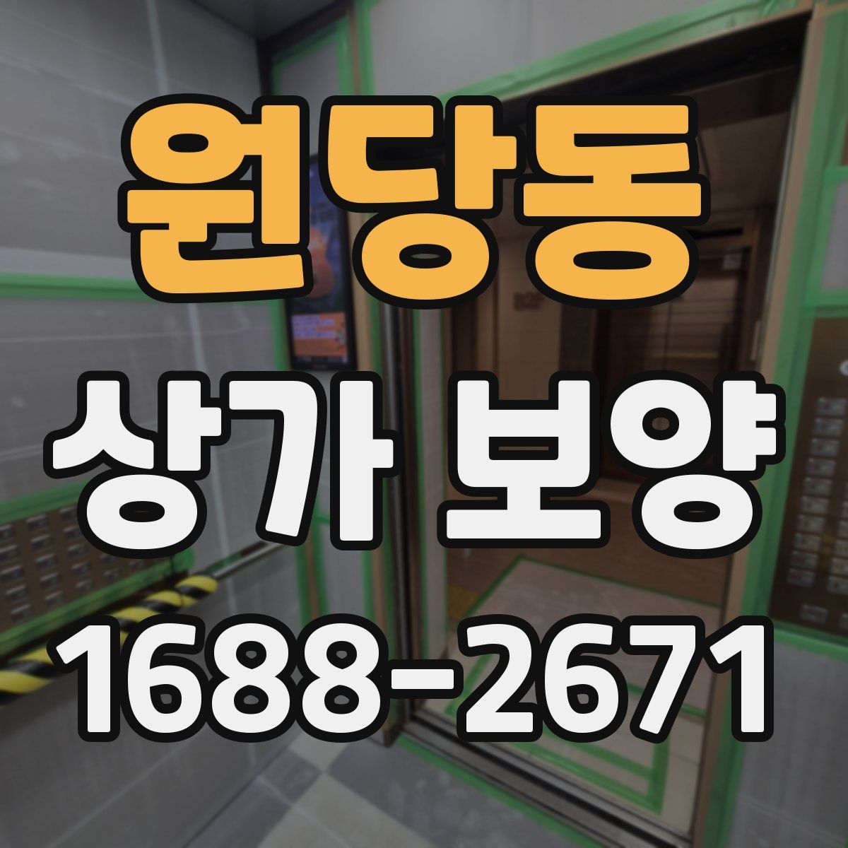 원당동 상가 보양