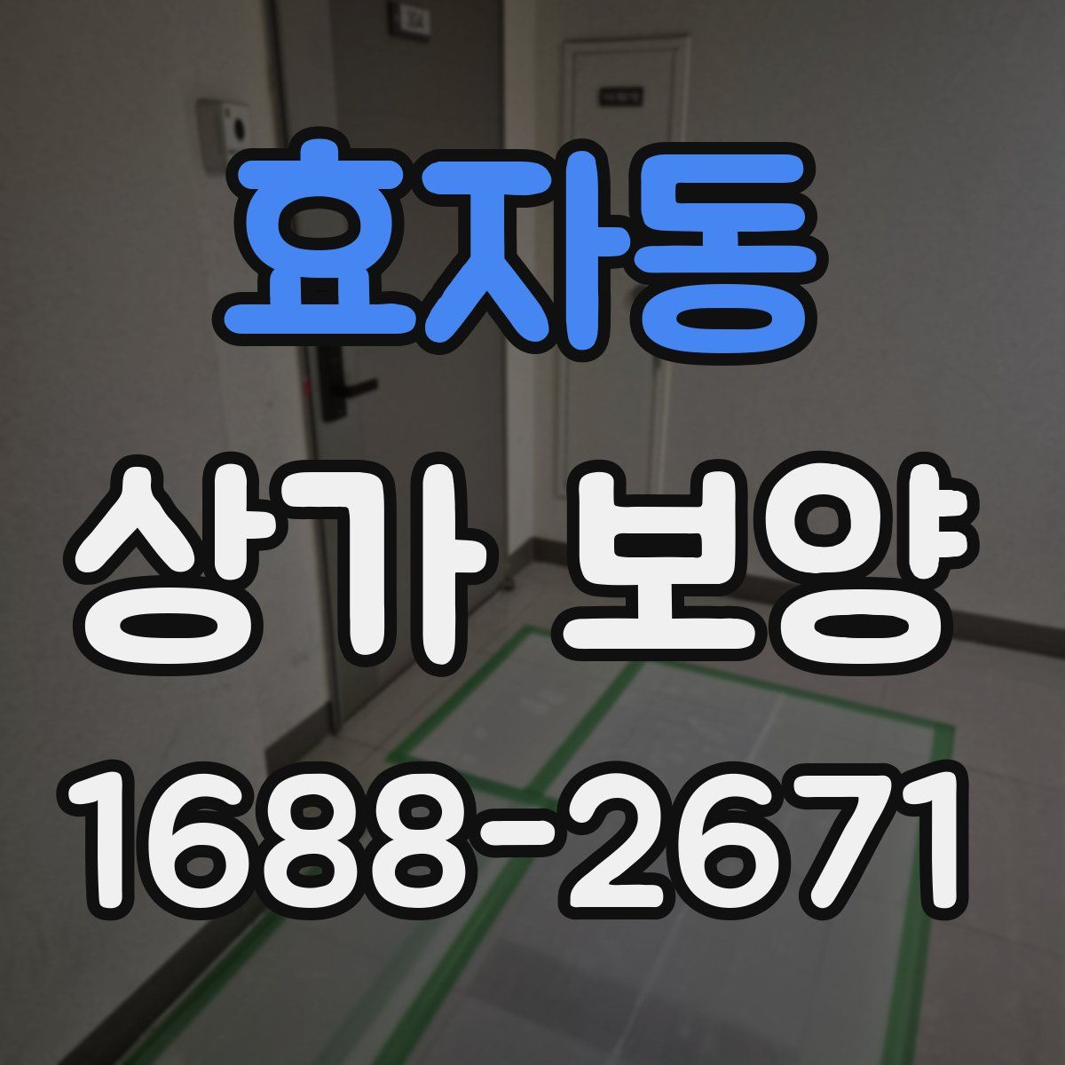 효자동 상가 보양