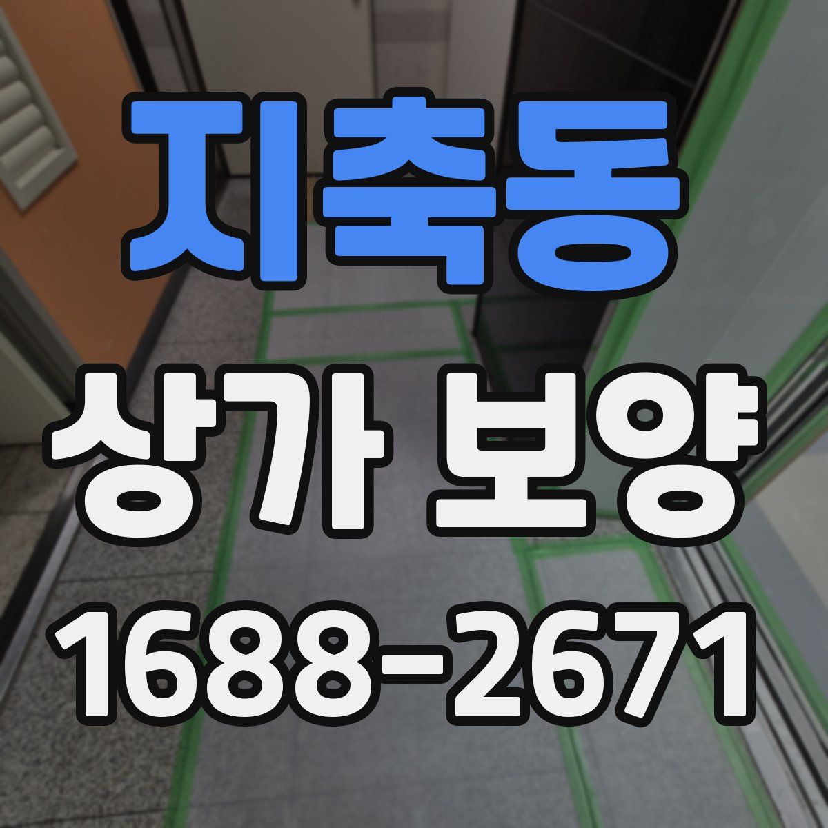 지축동 상가 보양