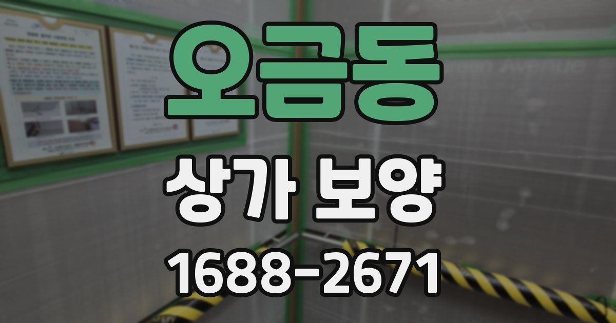 오금동 상가 보양