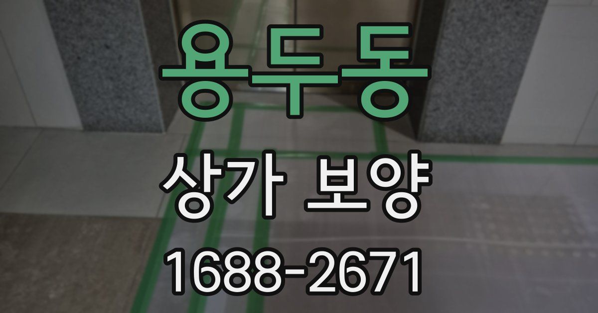 용두동 상가 보양