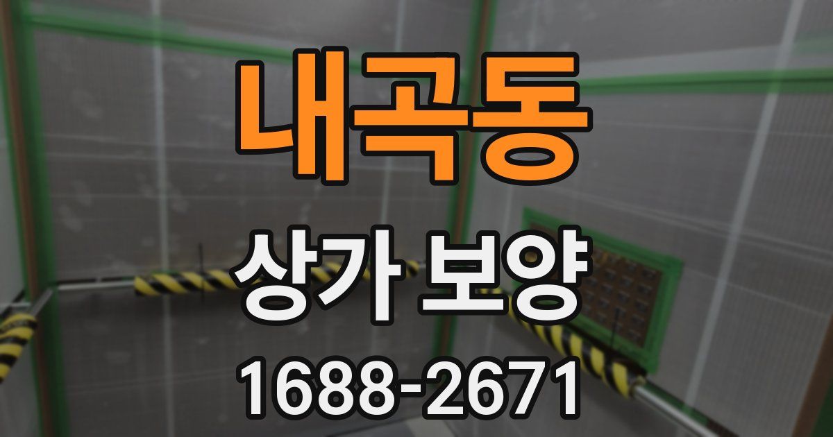 내곡동 상가 보양
