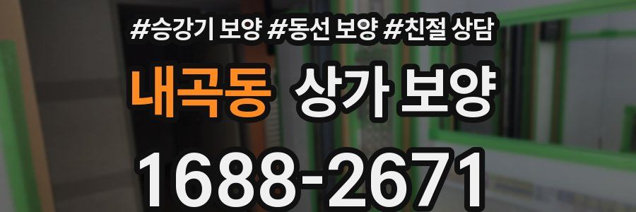 내곡동 상가 보양