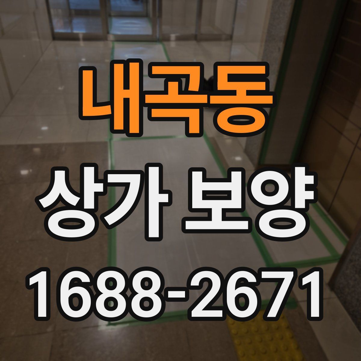 내곡동 상가 보양