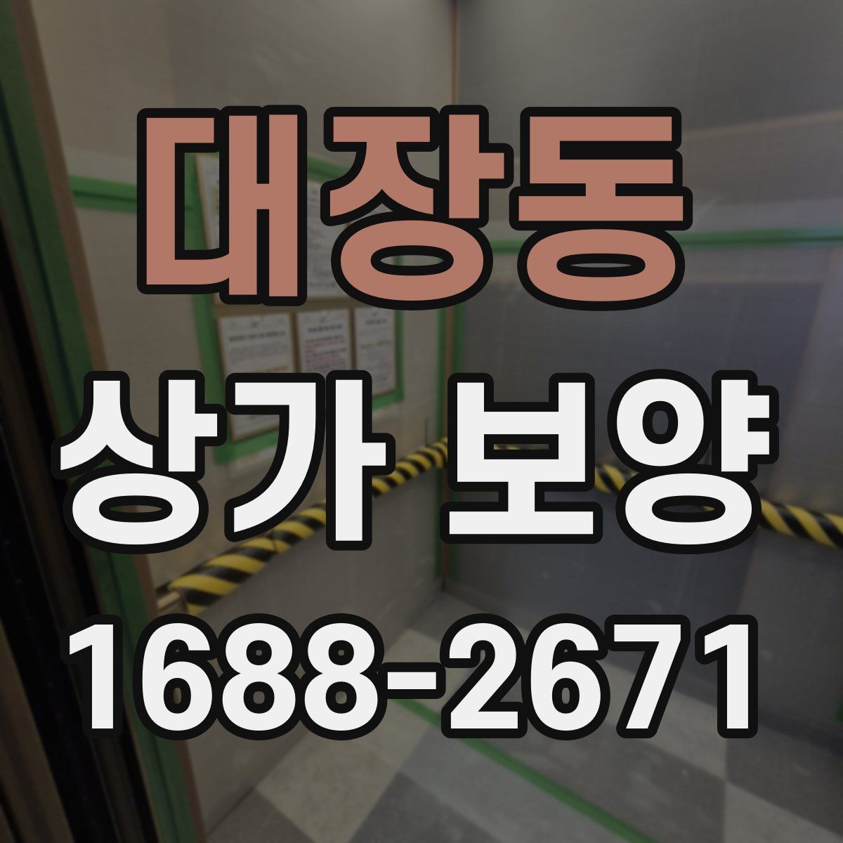 대장동 상가 보양