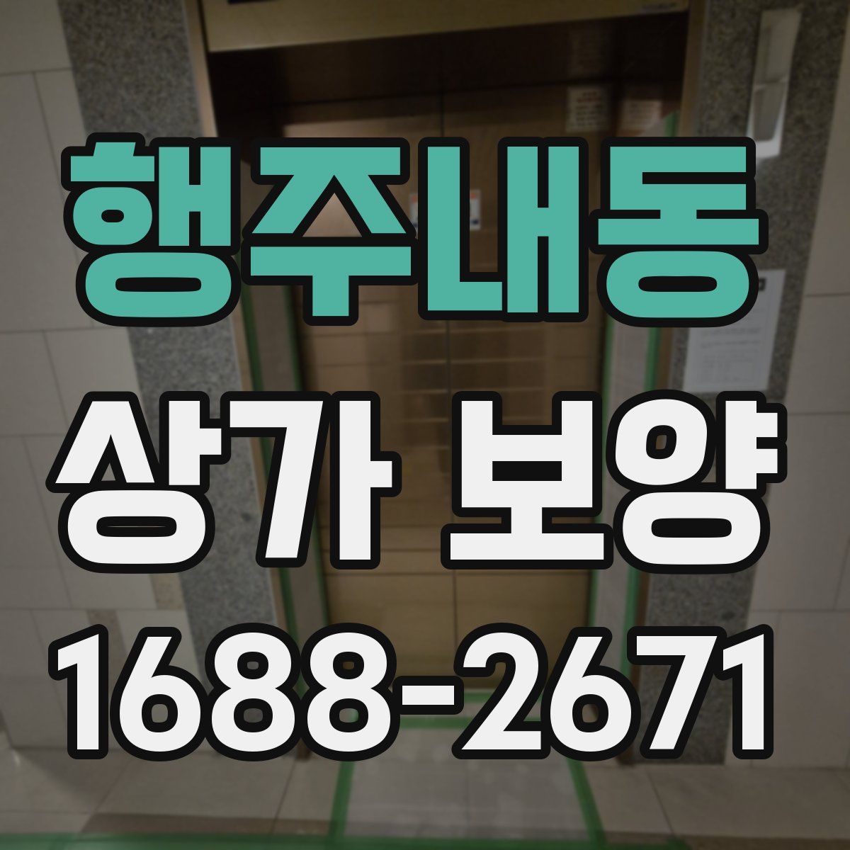 행주내동 상가 보양