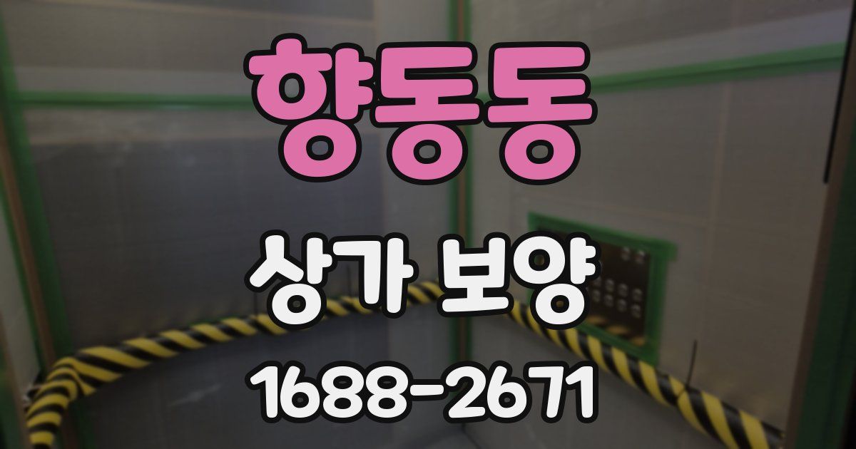 향동동 상가 보양