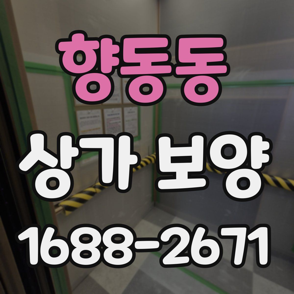 향동동 상가 보양
