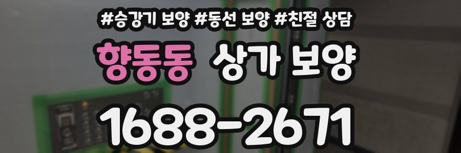 향동동 상가 보양