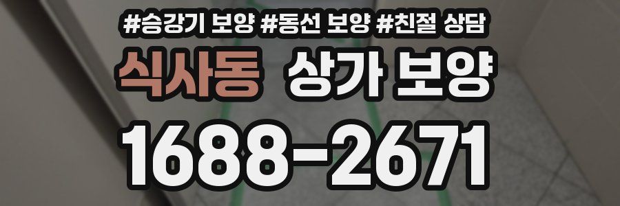 식사동 상가 보양