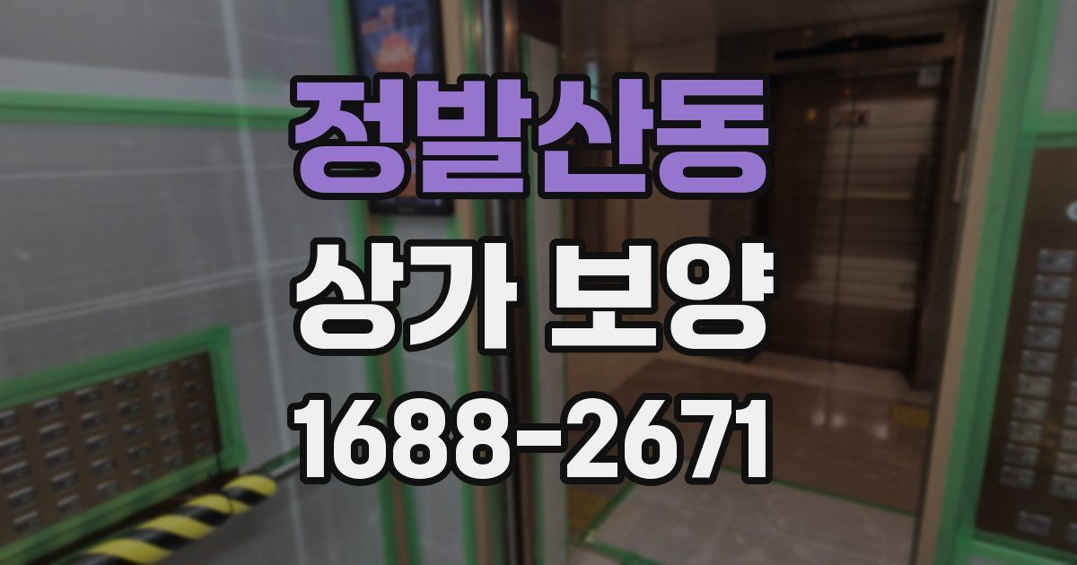 정발산동 상가 보양