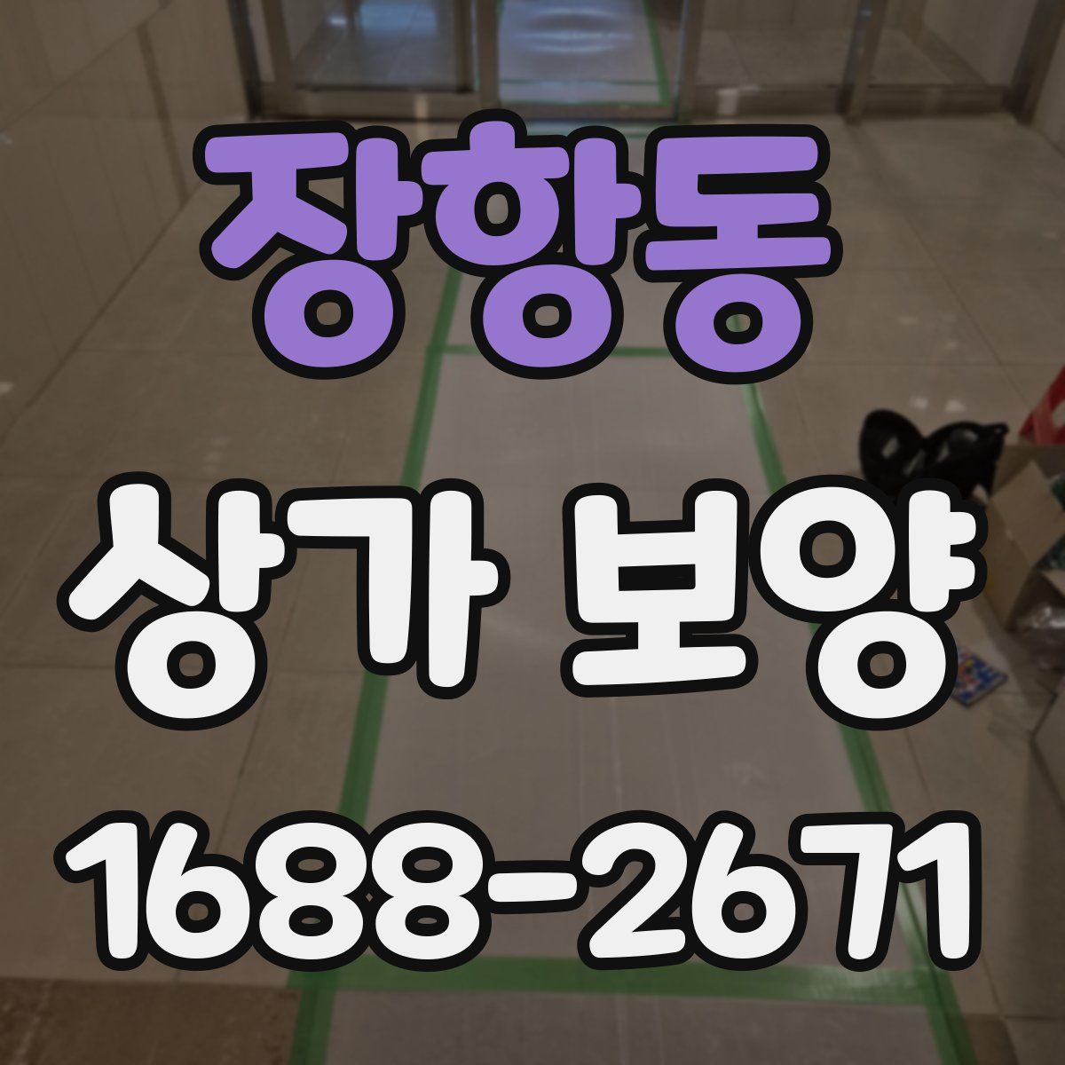 장항동 상가 보양