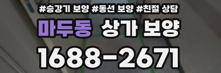 마두동 상가 보양