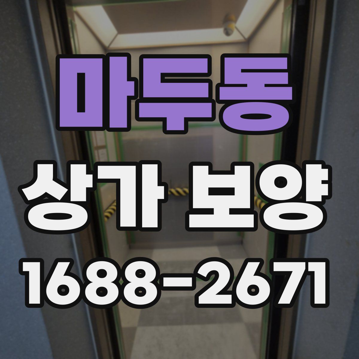 마두동 상가 보양