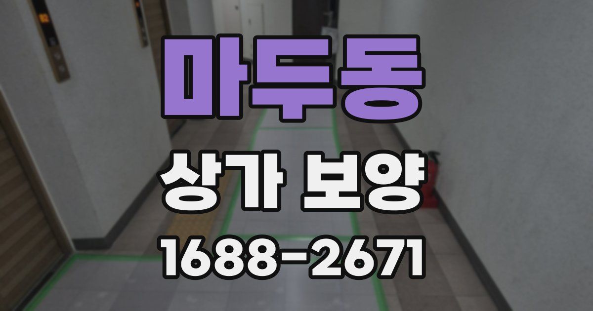 마두동 상가 보양