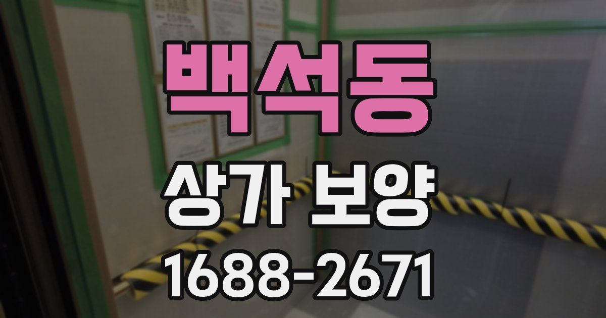 백석동 상가 보양