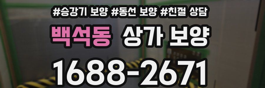 백석동 상가 보양