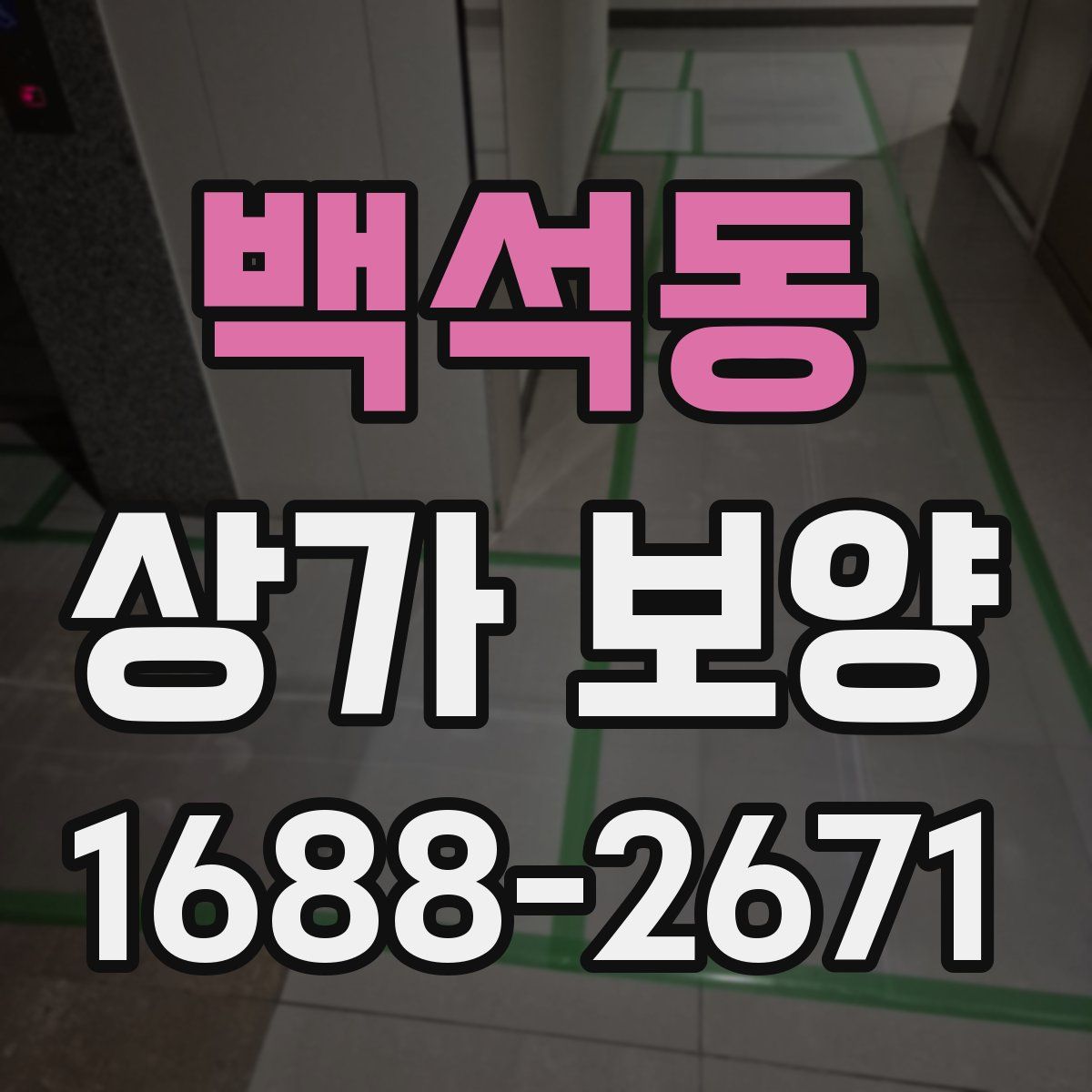 백석동 상가 보양