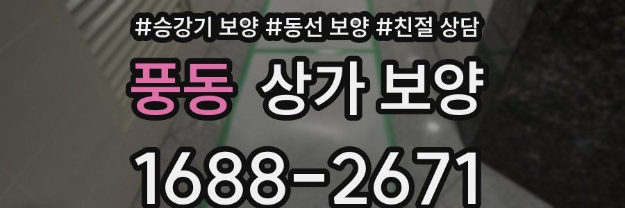 풍동 상가 보양