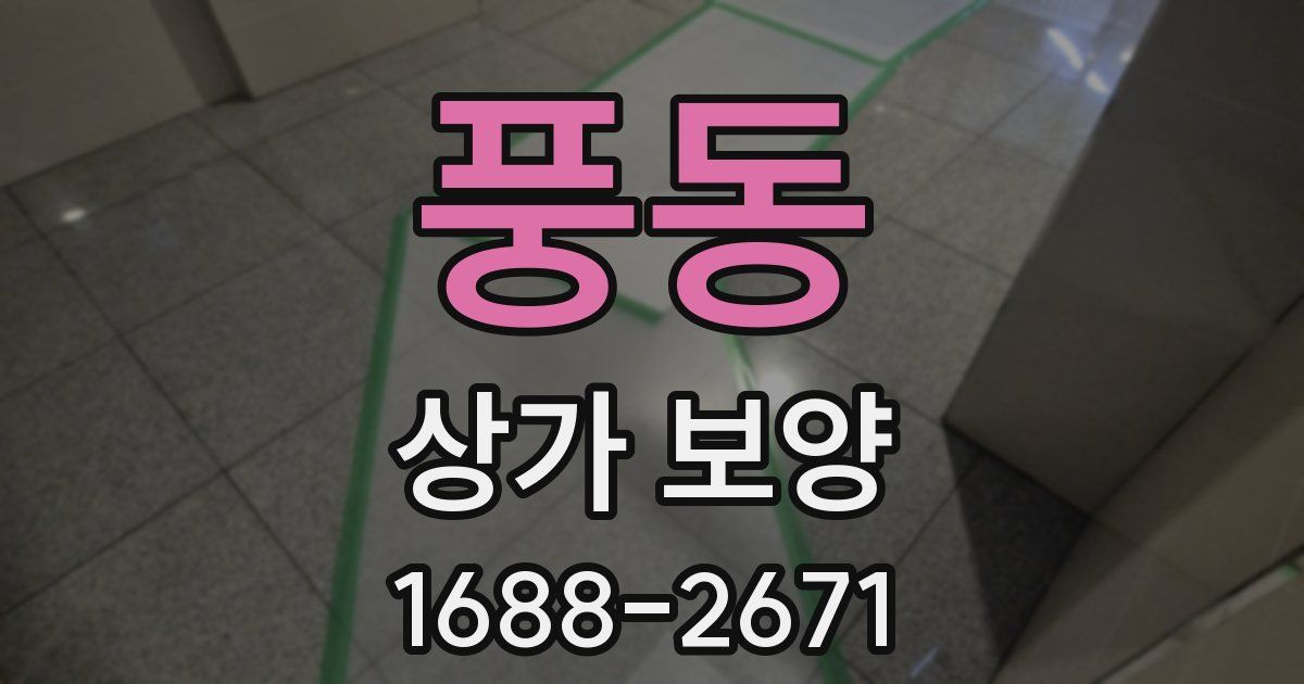 풍동 상가 보양