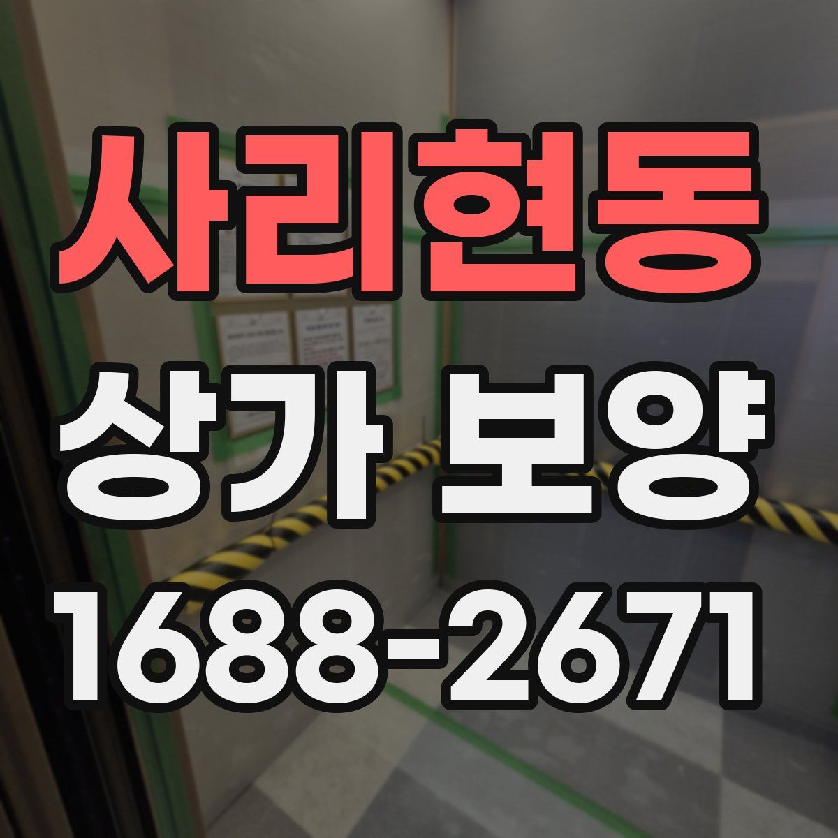 사리현동 상가 보양