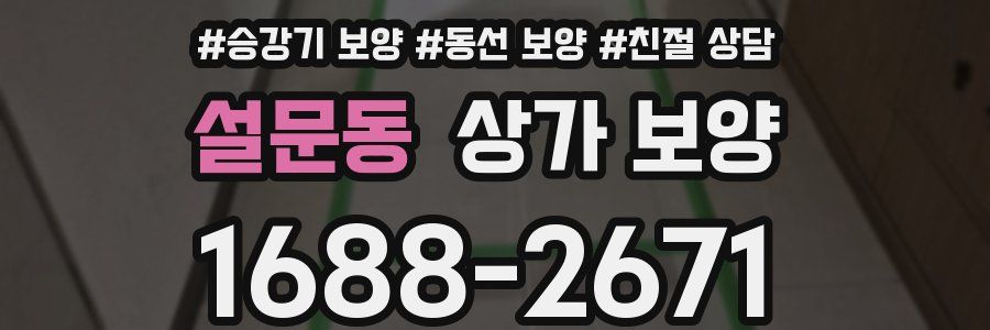설문동 상가 보양
