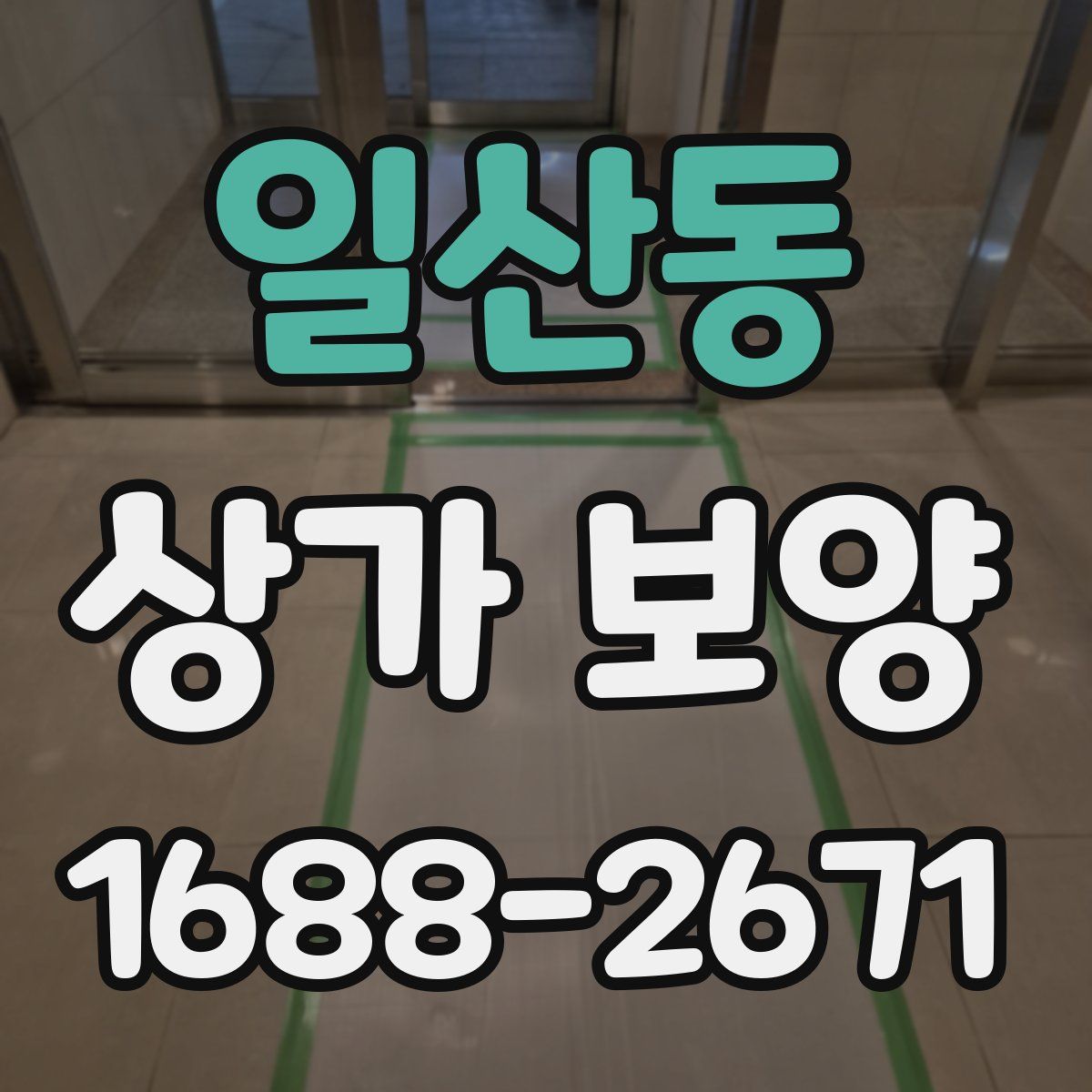일산동 상가 보양