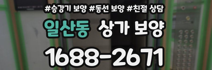 일산동 상가 보양