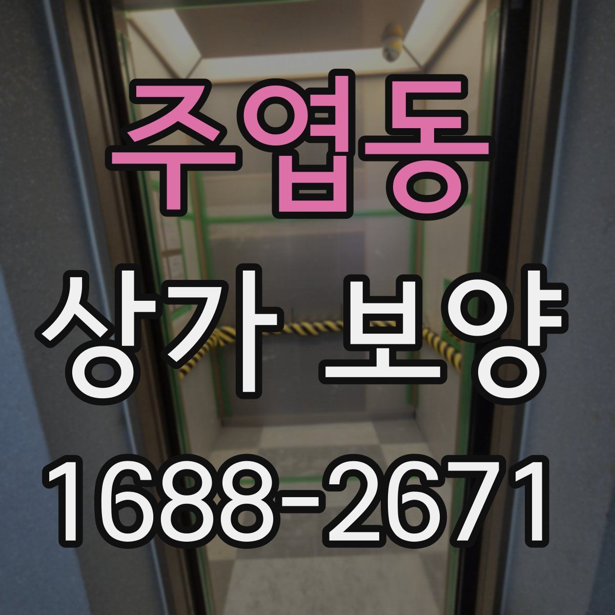 주엽동 상가 보양