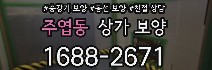 주엽동 상가 보양