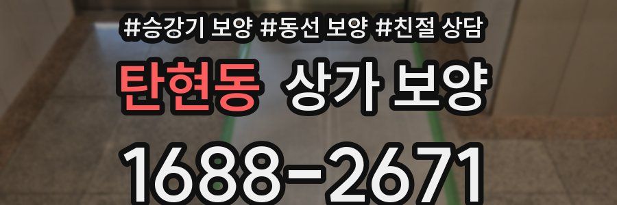 탄현동 상가 보양