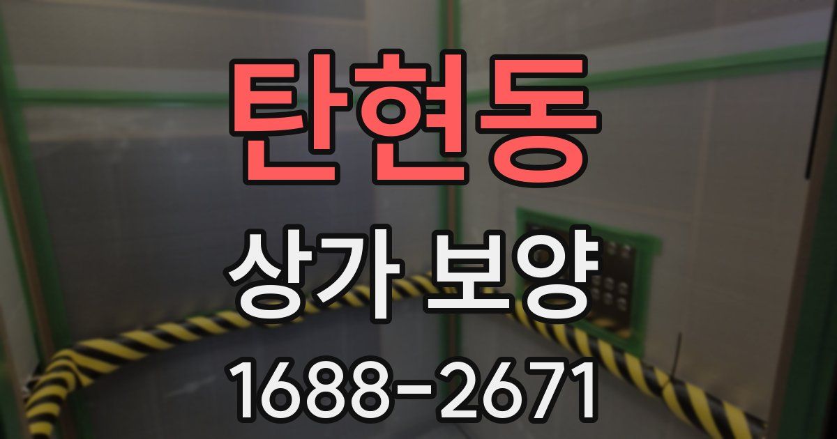 탄현동 상가 보양