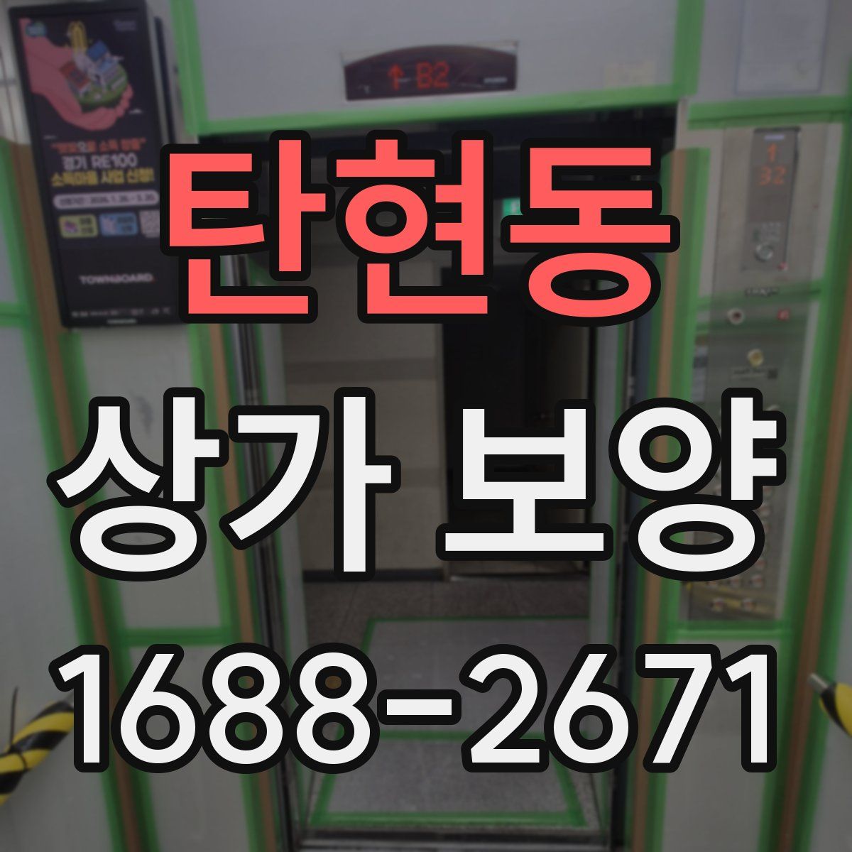 탄현동 상가 보양